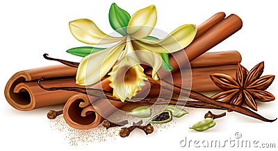 Aromatic spices Vector Illustration