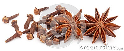 Aromatic star anise with fresh cloves Stock Photo