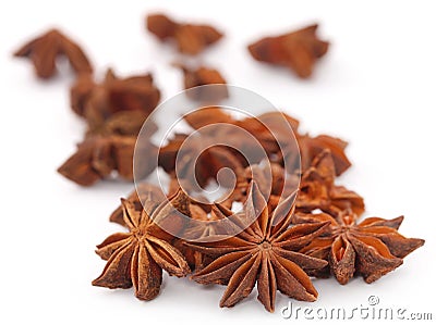 Aromatic star anise Stock Photo