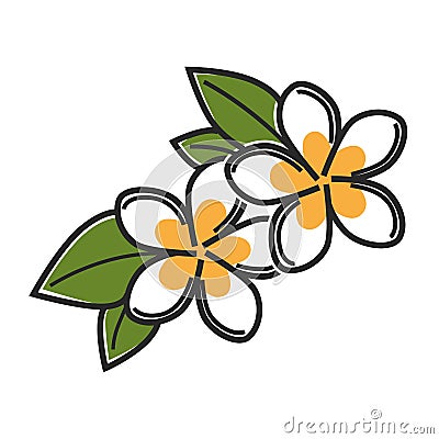 Aromatic vanilla flowers with green leaves isolated illustration Vector Illustration