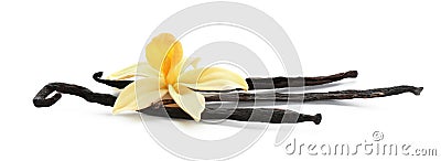 Aromatic vanilla sticks and flower on white Stock Photo