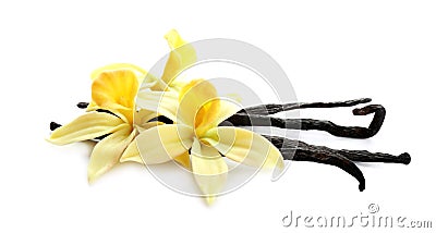 Aromatic vanilla sticks and flowers on white Stock Photo