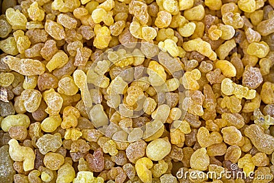 Aromatic yellow resin gum from Sudanese Frankincense tree, incense made of Boswellia sacra tree, Etiopia Stock Photo