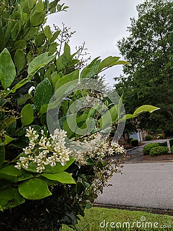 Around the corner Stock Photo