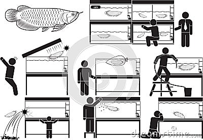 Arowana Vector Illustration