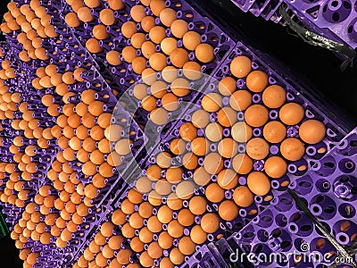 Arrangement of eggs neatly on a shelf in a row Stock Photo