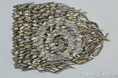 Arranged tidy small rot dried fish becoming decay on white background Stock Photo