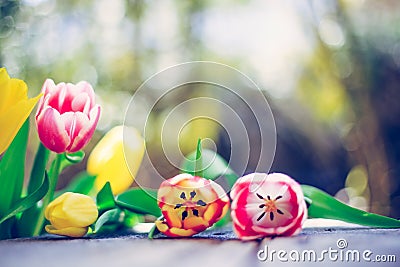 Arrangement of colorful spring flowers in the own garden blurry background with text space ideal for postcard Stock Photo