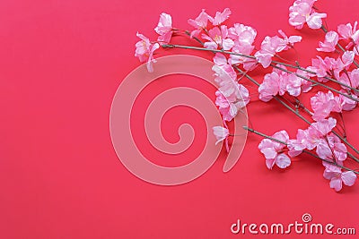 Arrangement decoration Chinese new year & lunar festival concept background. Stock Photo