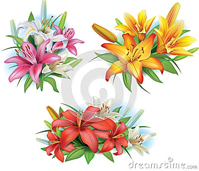 Arrangement from lilies flowers Stock Photo