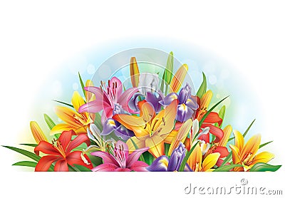 Arrangement of lilies and irises Vector Illustration
