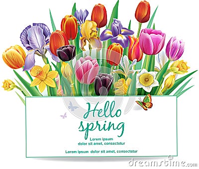 Arrangement with multicolor spring flowers Vector Illustration