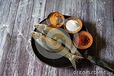 Arrangement of raw fish on a background Stock Photo