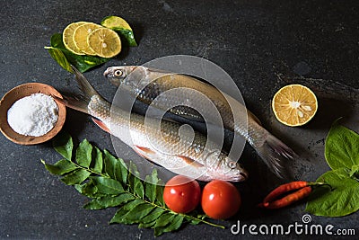 Arrangement of raw fish on a black background Stock Photo