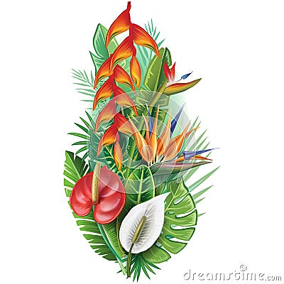 Arrangement from tropical plants Vector Illustration