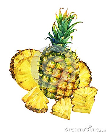 Arrangement with whole and slice pineapple. Stock Photo