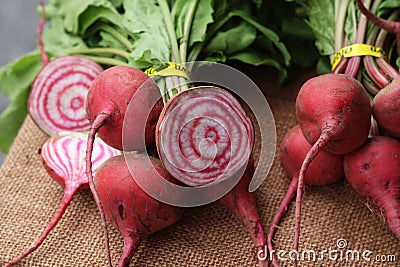 Array of fresh radishes is artfully arranged on a solid brown surface: Chioggia Stock Photo