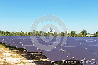 Array of thin film solar cells or amorphous silicon solar cells or photovoltaics in solar power plant turn up skyward absorb the Stock Photo