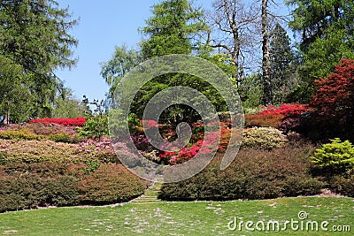 Arrival of Spring in an English landscape garden Stock Photo