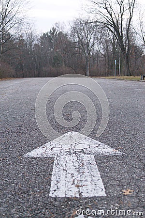 Arrow on pavement pointing into forest Stock Photo