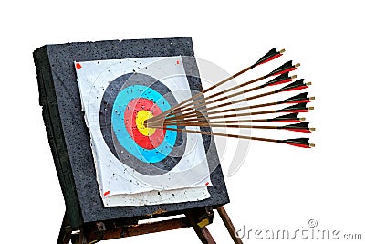 Arrows Hitting The Center Of Target isolated on white Success Business Concept conceptual Stock Photo