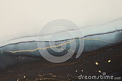 Art Abstract horizontal background. Painting flow blots with gold glitter. Alcohol ink colors. Marble texture Stock Photo