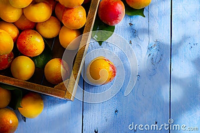 Art abstract market background fruits on a wooden background Stock Photo