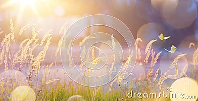 Art abstract September sunny autumn meadow background Stock Photo