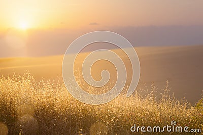 Art abstract September sunny autumn meadow background Stock Photo