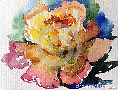 Watercolor art background colorful flower rose yellow tea Stock Photo