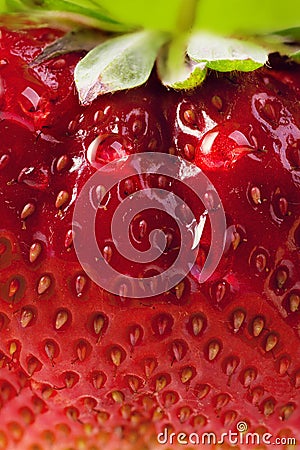 Art background summer strawberry farm Stock Photo