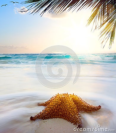 Art beautiful caribbean beach in sunset time Stock Photo