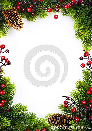 Art christmas frame with fir and Holly berry on white paper ba Stock Photo