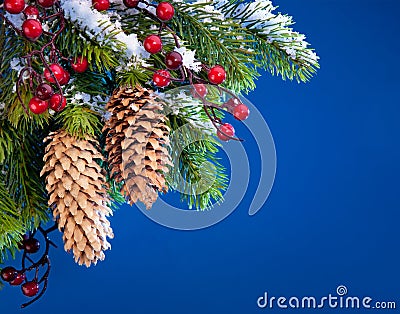 Art Christmas tree sheltered snow Stock Photo