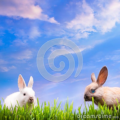 Art couple little Easter rabbits on green grass Stock Photo