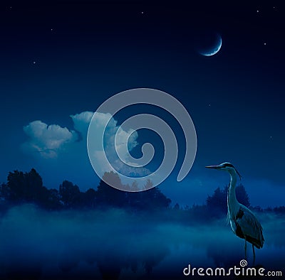 Art fantasy blue night background Stock Photo