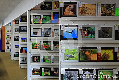 Fine Art Exhibition Editorial Stock Photo