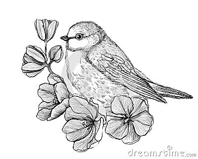 Art graphic illustration of a bird sitting on a branch with flowers, tattoo sketch Vector Illustration