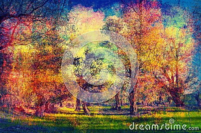 Art grunge landscape showing old forest on sunny spring day Stock Photo