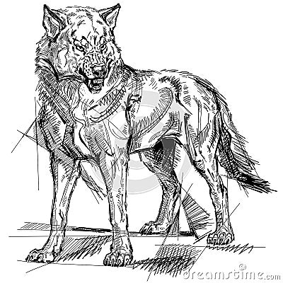 Angry grey wolf tattoo Vector Illustration