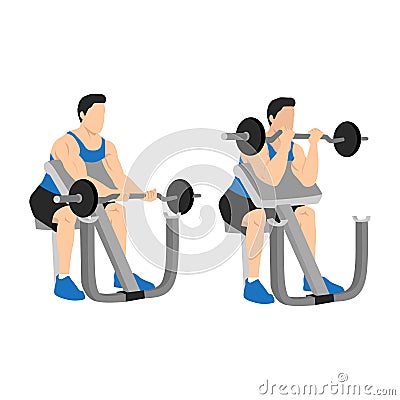 Man lifting barbell in a gym on EZ bar preacher curl, making biceps exercise. Vector Illustration