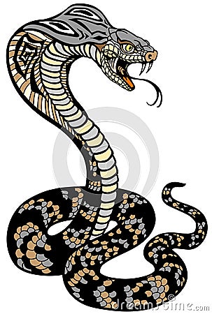 Cobra poisonous snake in a defensive position. Vector Vector Illustration