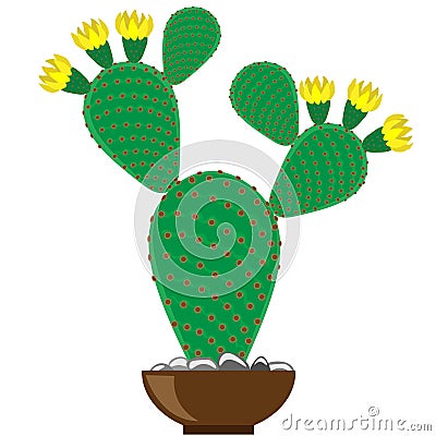 Cactus, opuntia, object isolated on white background. Vector Illustration