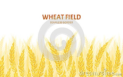Wheat field background. Cereal plants seamless pattern. Vector Illustration