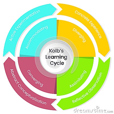 Kolb's Learning Cycle Infographic Vector Illustration Stock Photo