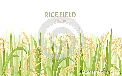 Rice field background. Cereal plants seamless pattern. Vector Illustration