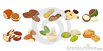 Flat vector of cute bright colors of nuts vector icon collections. Stock Photo