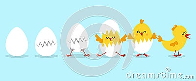 Cute chicks with eggshell and hatching eggs. process baby chicken hatching the egg. Vector Illustration