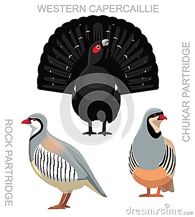 Cute Bird Partridge Capercaillie Hen Set Cartoon Vector Vector Illustration