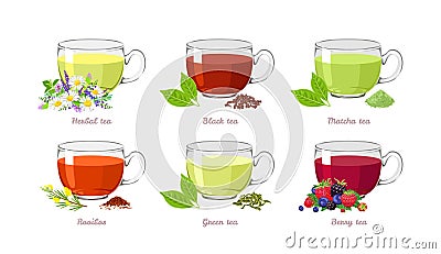 Tea collection. Set of different types of tea in glass cups. Vector Illustration